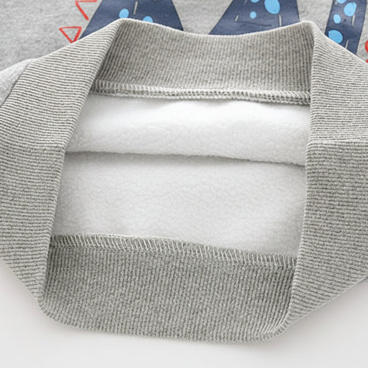 Boys’ Cartoon Monster Print Fleece-Lined Warm Long Sleeve Sweatshirt