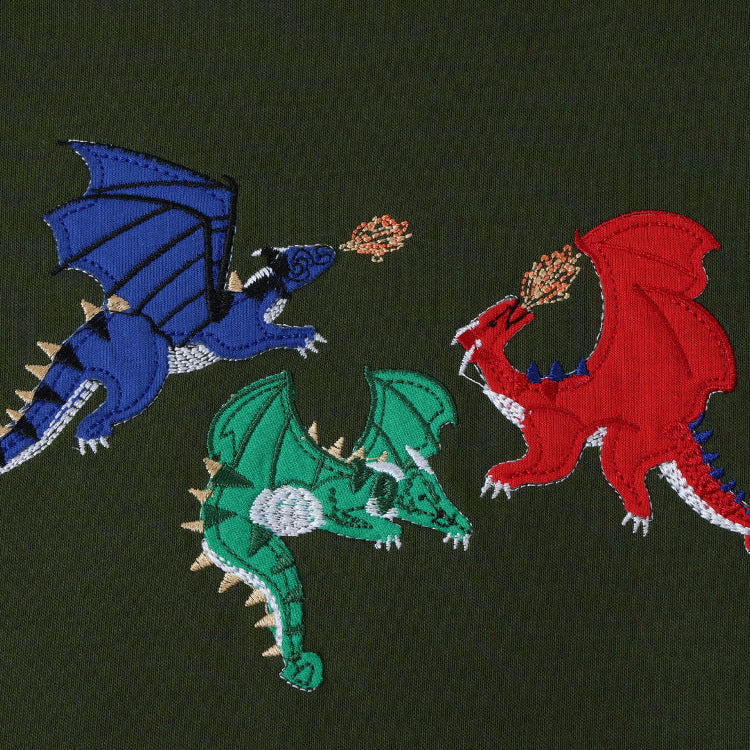 Boys Casual Dinosaur Embroidered Long Sleeve Sweatshirt